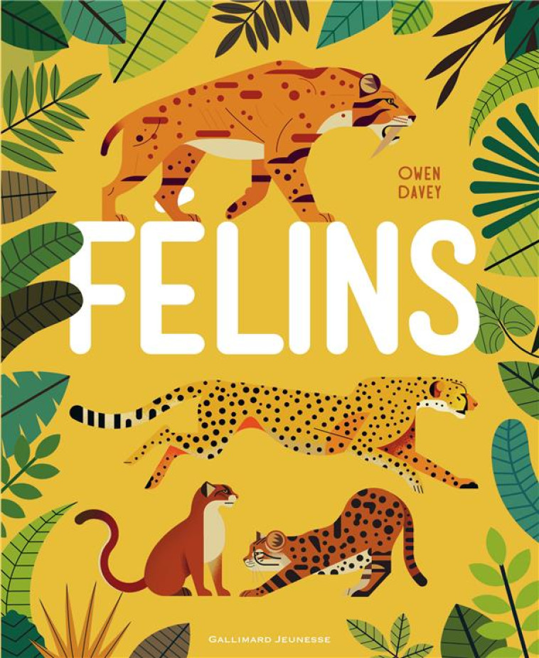 FELINS - DAVEY OWEN - Gallimard-Jeunesse