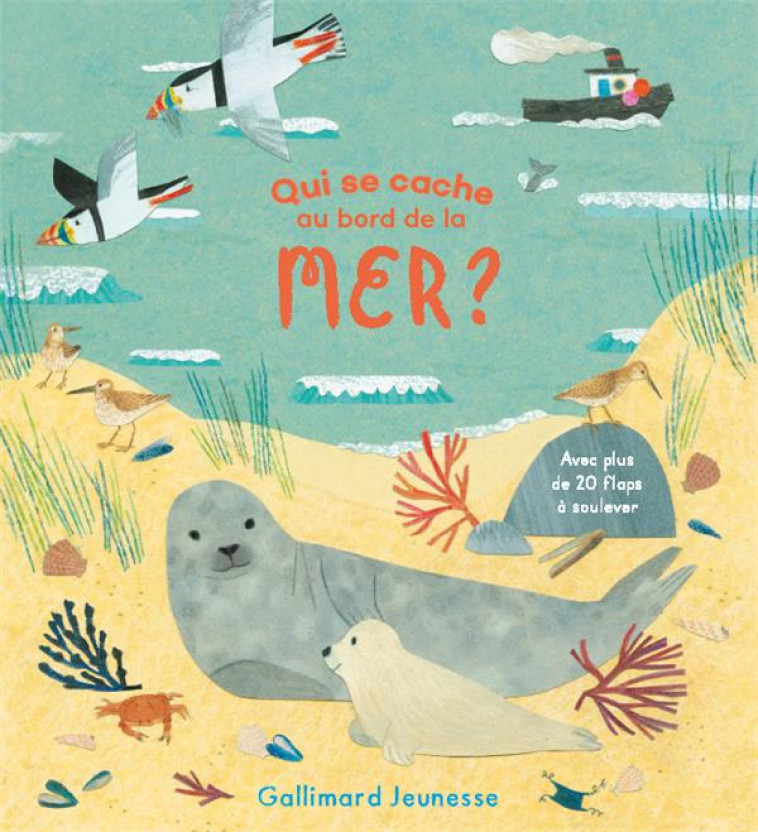 QUI SE CACHE AU BORD DE LA MER ? - MCEWEN KATHERINE - GALLIMARD