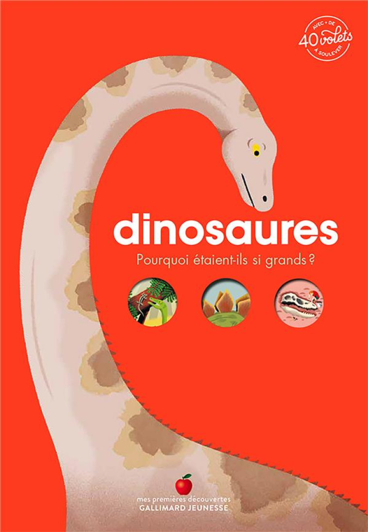 DINOSAURES - KECIR-LEPETIT - GALLIMARD