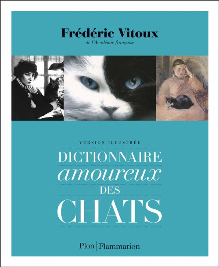 DICTIONNAIRE AMOUREUX DES CHATS - VITOUX FREDERIC - Plon