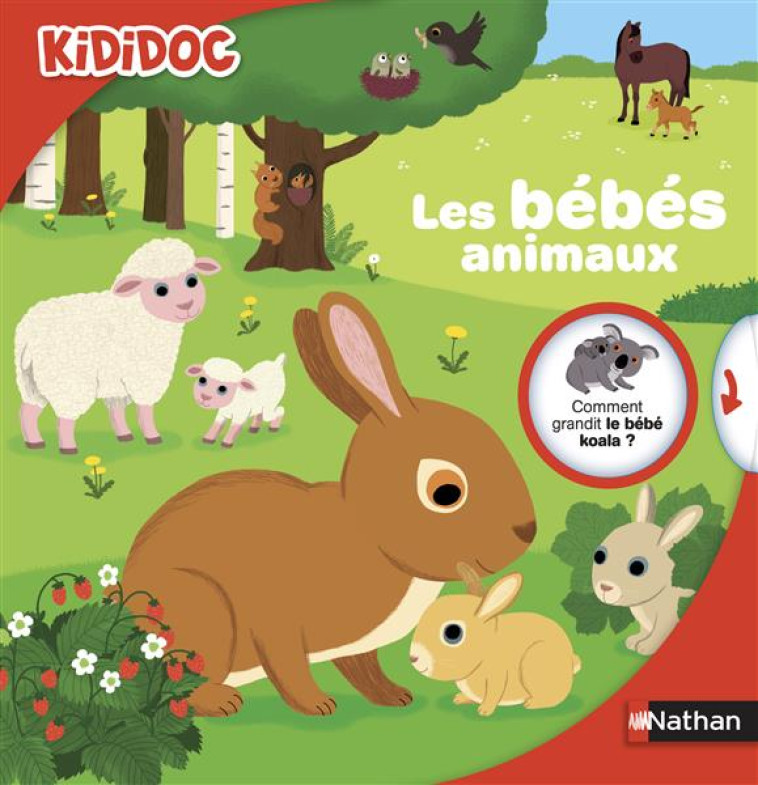 LES BEBES ANIMAUX - BAUSSIER/COTTIN - Nathan Jeunesse