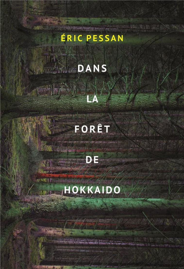 DANS LA FORET DE HOKKAIDO - PESSAN ERIC - Ecole des loisirs