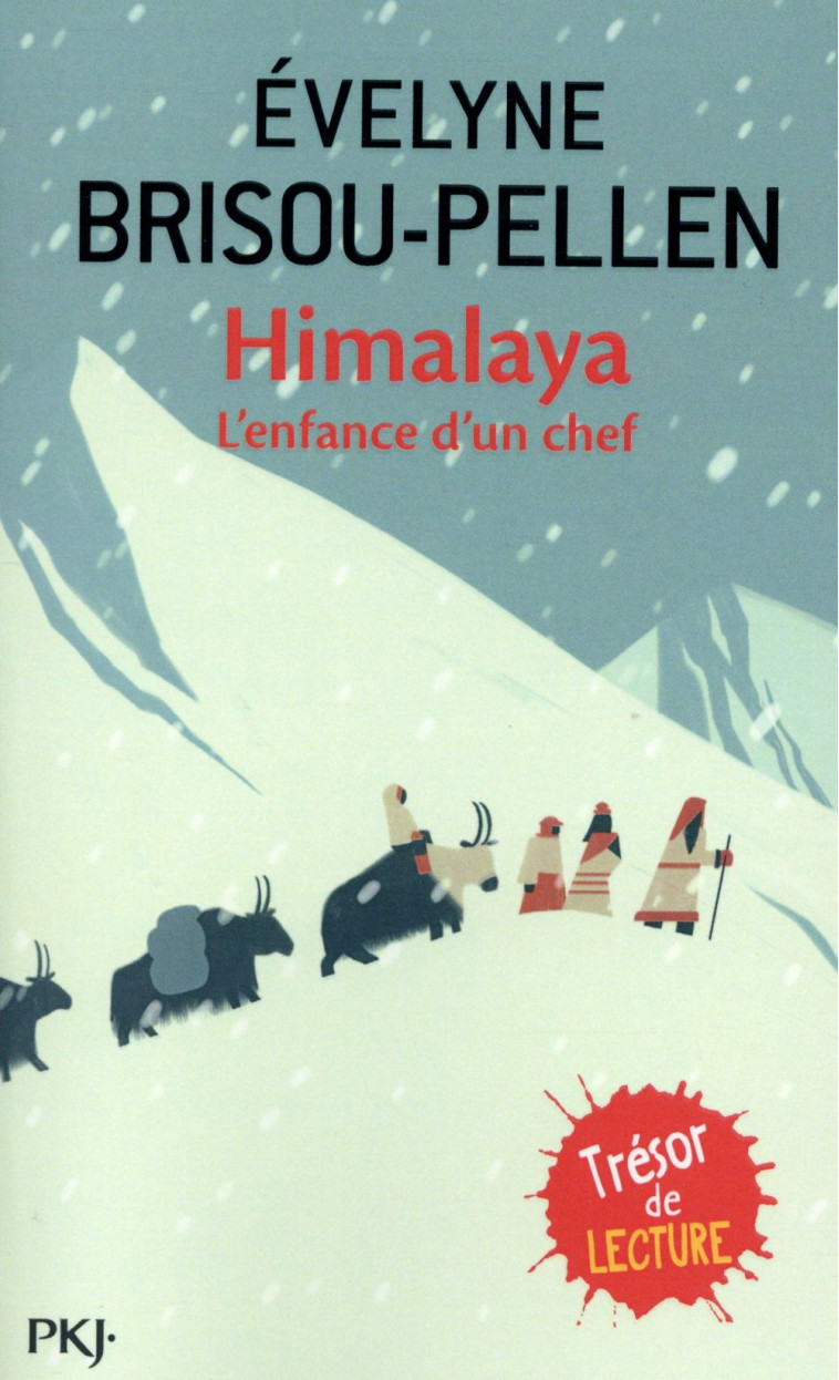 HIMALAYA  -  L'ENFANCE D'UN CHEF - BRISOU-PELLEN/NORBU - POCKET