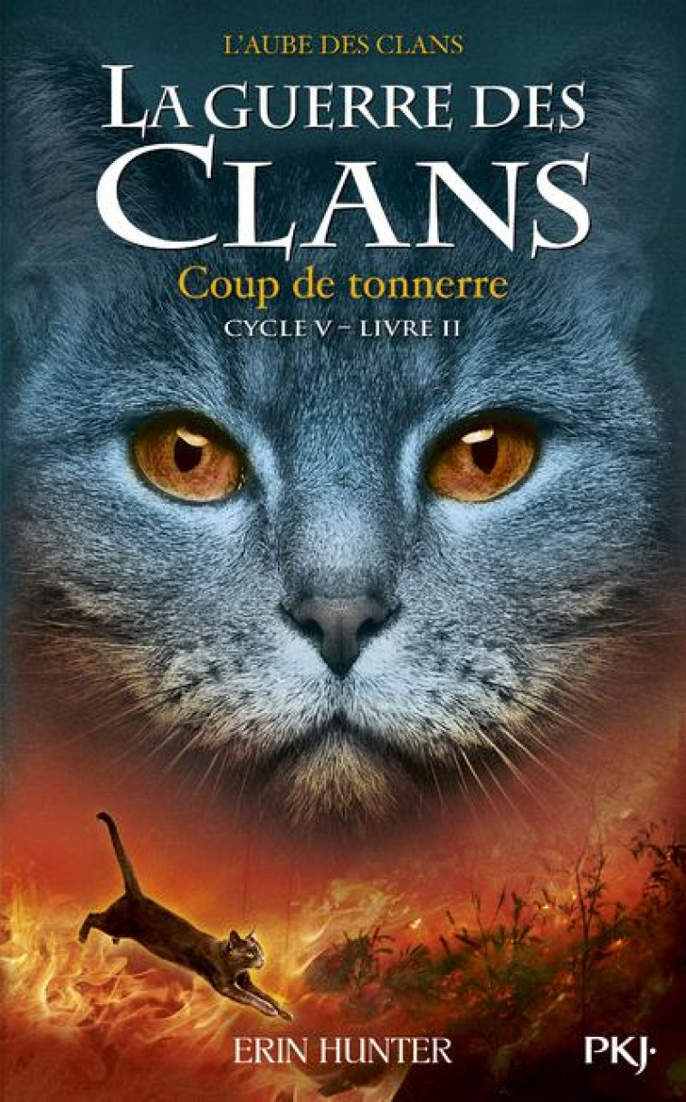 LA GUERRE DES CLANS - CYCLE 5  -  L'AUBE DES CLANS T.2  -  COUP DE TONNERRE - HUNTER ERIN - POCKET