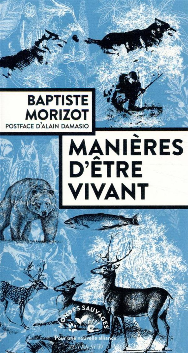 MANIERES D'ETRE VIVANT  -  ENQUETES SUR LA VIE A TRAVERS NOUS - MORIZOT/DAMASIO - ACTES SUD