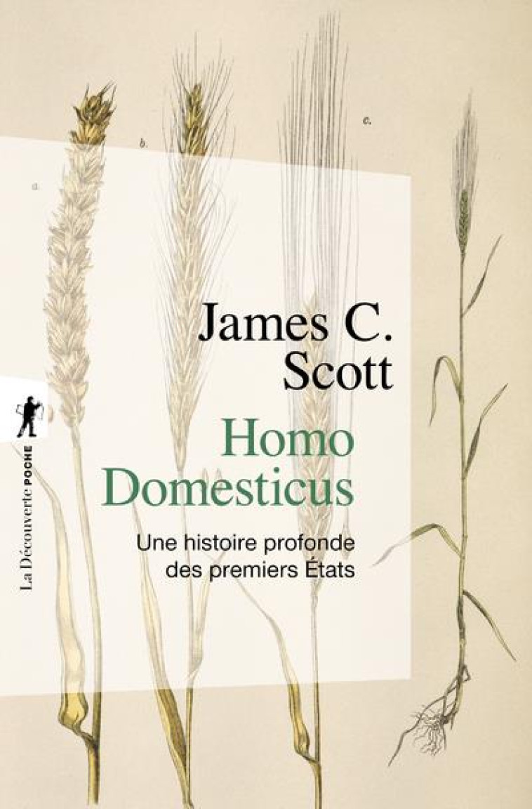 HOMO DOMESTICUS  -  UNE HISTOIRE PROFONDE DES PREMIERS ETATS - SCOTT/DEMOULE - LA DECOUVERTE