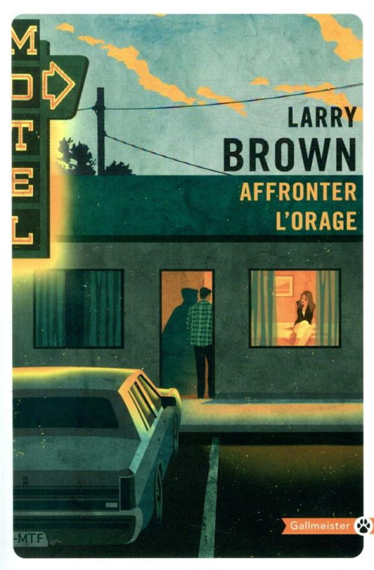 AFFRONTER L'ORAGE - BROWN LARRY - GALLMEISTER