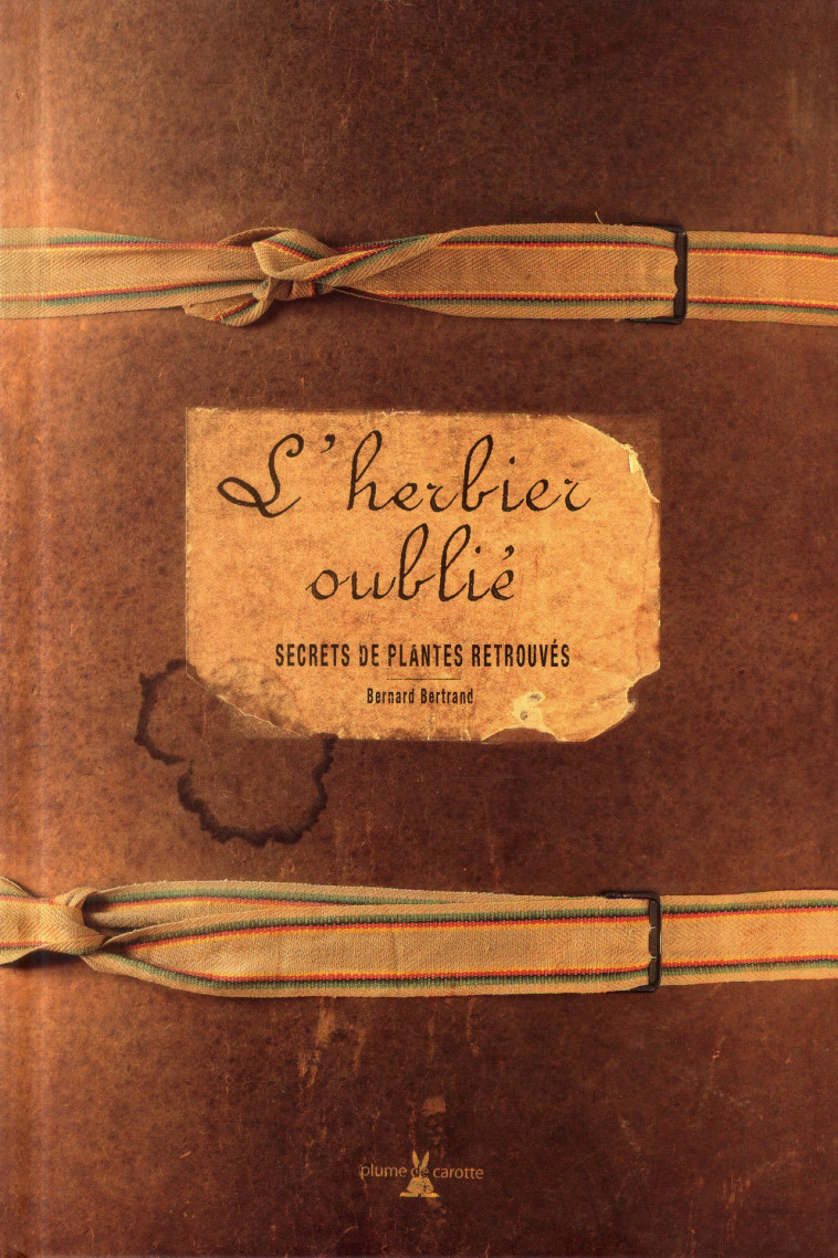 L'HERBIER OUBLIE  -  SECRETS DE PLANTES RETROUVES - BERTRAND BERNARD - Plume de carotte