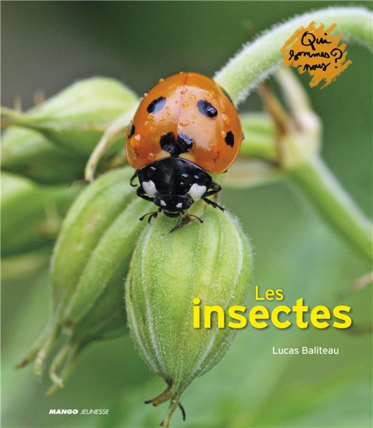 LES INSECTES - XXX - MANGO