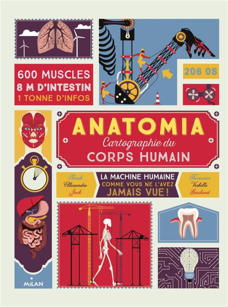 ANATOMIA  -  CARTOGRAPHIE DU CORPS HUMAIN - GUICHARD/TAVERNIER - Milan jeunesse