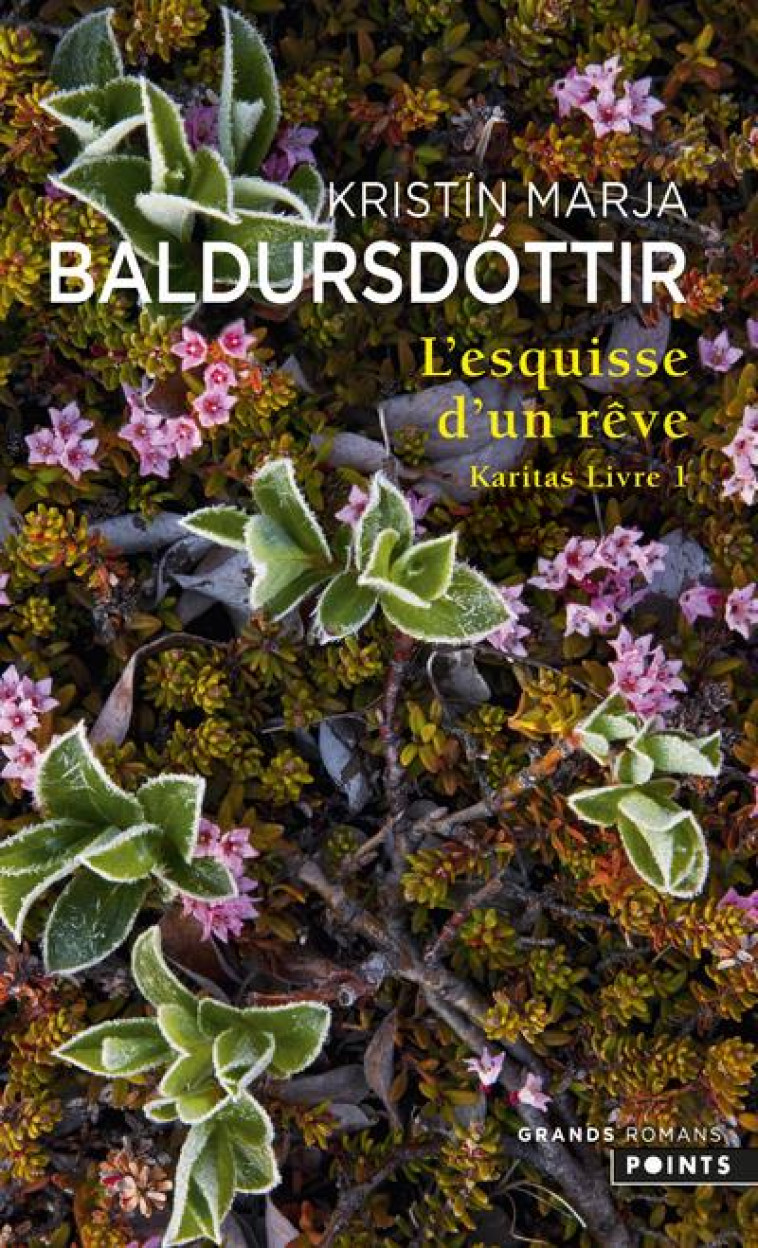 KARITAS, L'ESQUISSE D'UN REVE - BALDURSDOTTIR K M. - POINTS