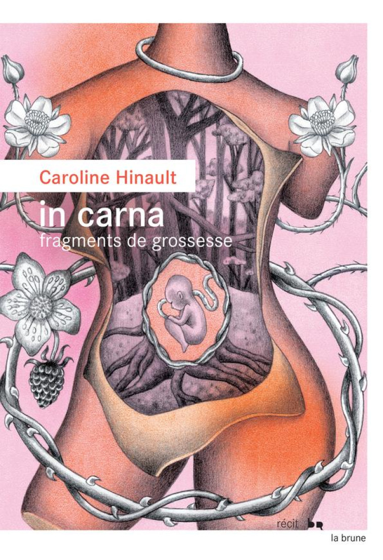 IN CARNA : FRAGMENTS DE GROSSESSE - HINAULT CAROLINE - ROUERGUE