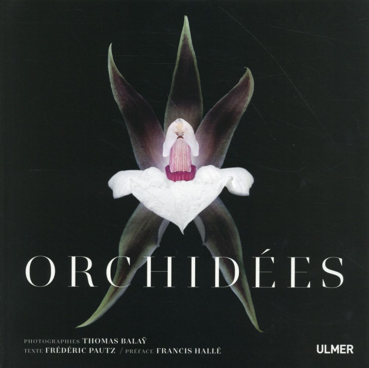 ORCHIDEES - BALAY THOMAS - Ulmer