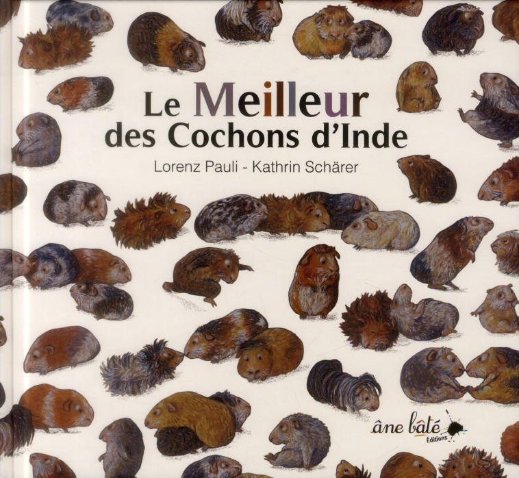 LE MEILLEUR DES COCHONS D'INDE - - SCHARER PAULI - Ane bâté