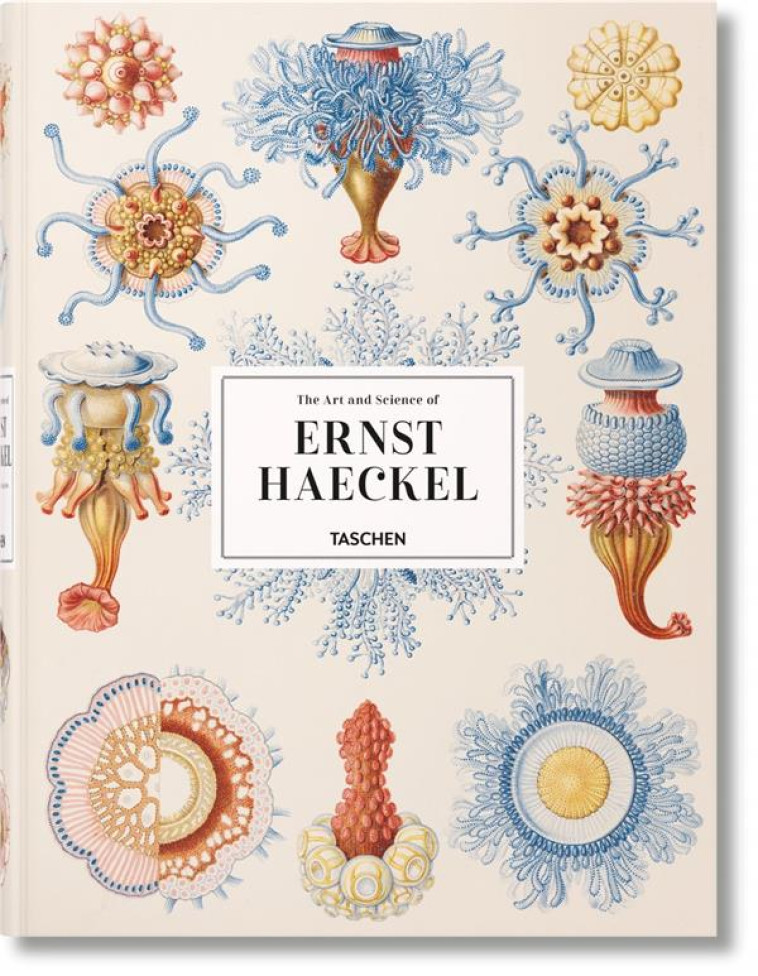 L'ART ET LA SCIENCE D'ERNST HAECKEL - WILLMANN/VOSS - NC