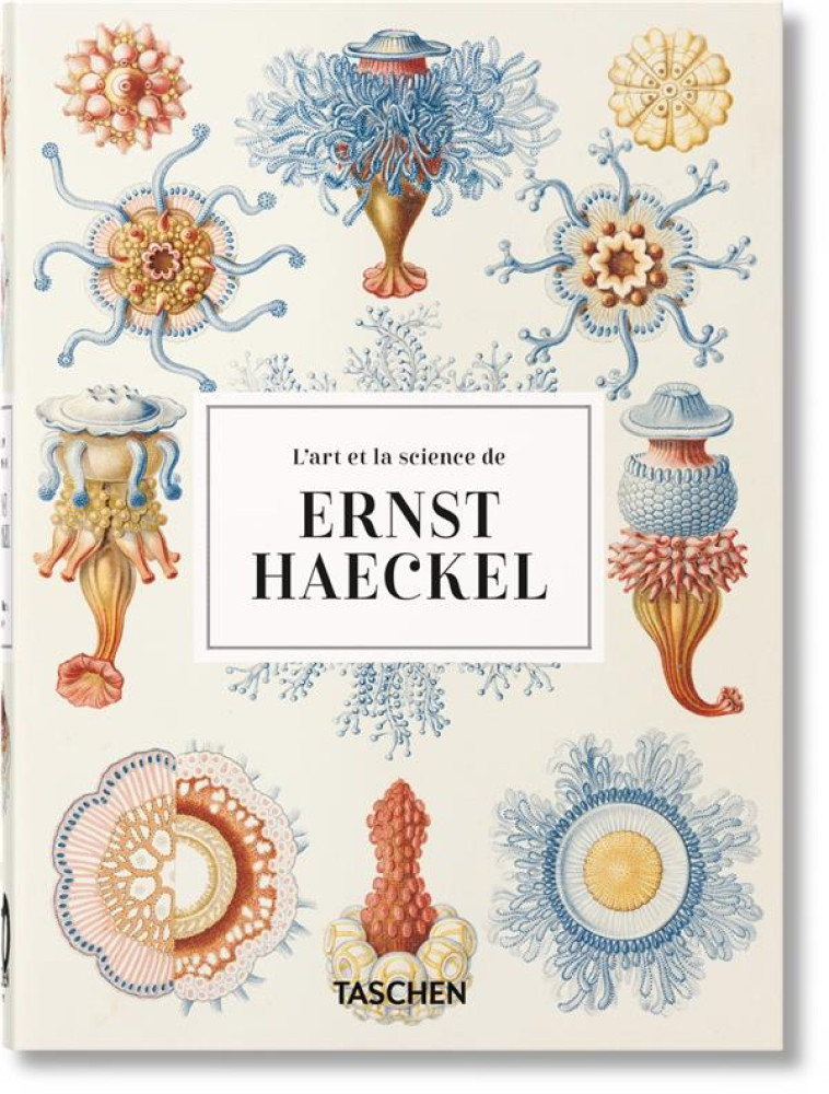 ERNST HAECKEL - WILLMANN/VOSS - NC