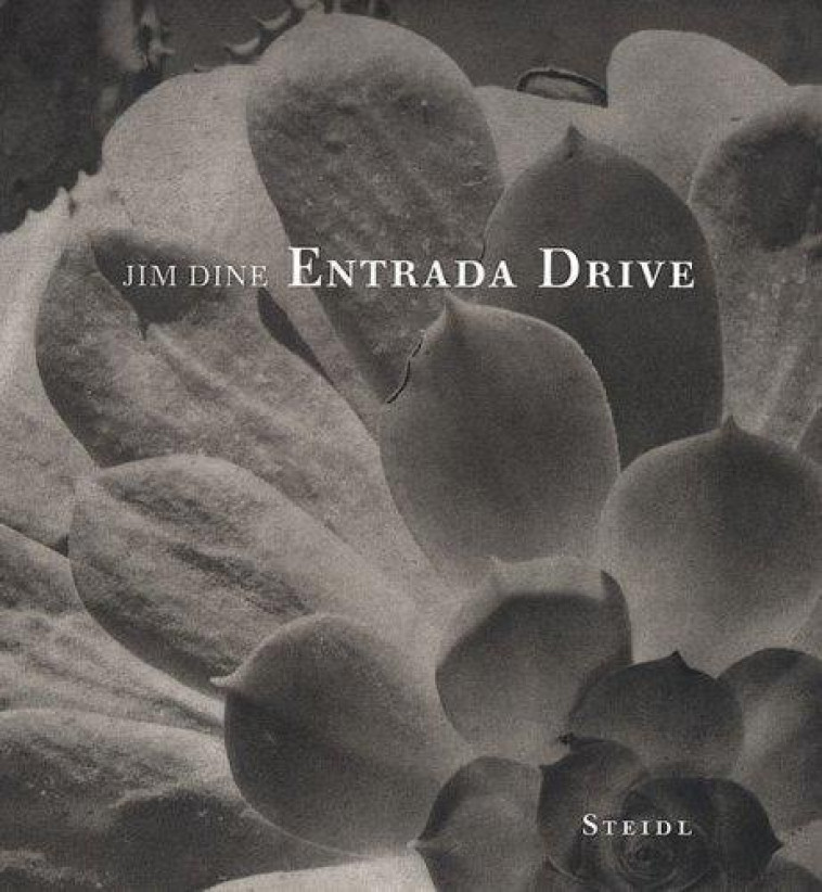 JIM DINE ENTRADA DRIVE - DINE JIM - STEIDL