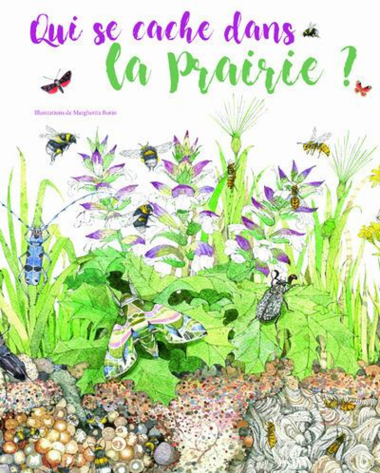 QUI SE CHACHE DANS LA PRAIRIE ? - BORIN MARGHERITA - White star kids