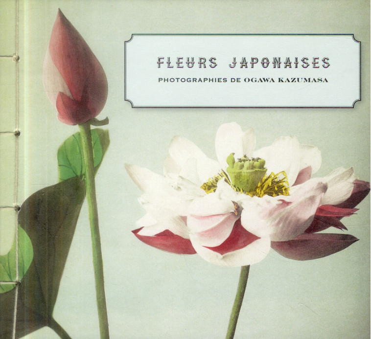 FLEURS JAPONAISES - COLLECTIF - 5 continents éditions