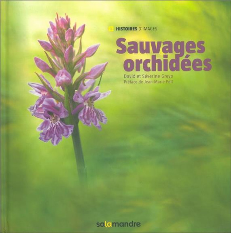 SAUVAGES ORCHIDEES - GREYO D E S. - Les éditions de la Salamandre