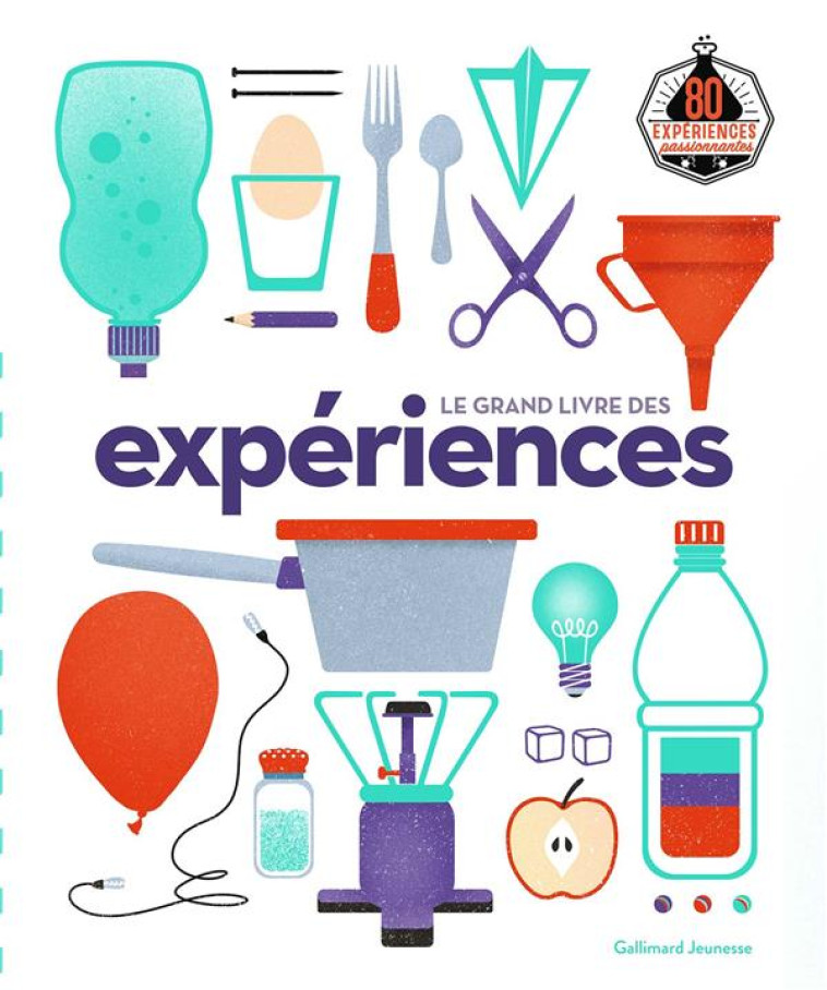 LE GRAND LIVRE DES EXPERIENCES - GRAHAM IAN - GALLIMARD