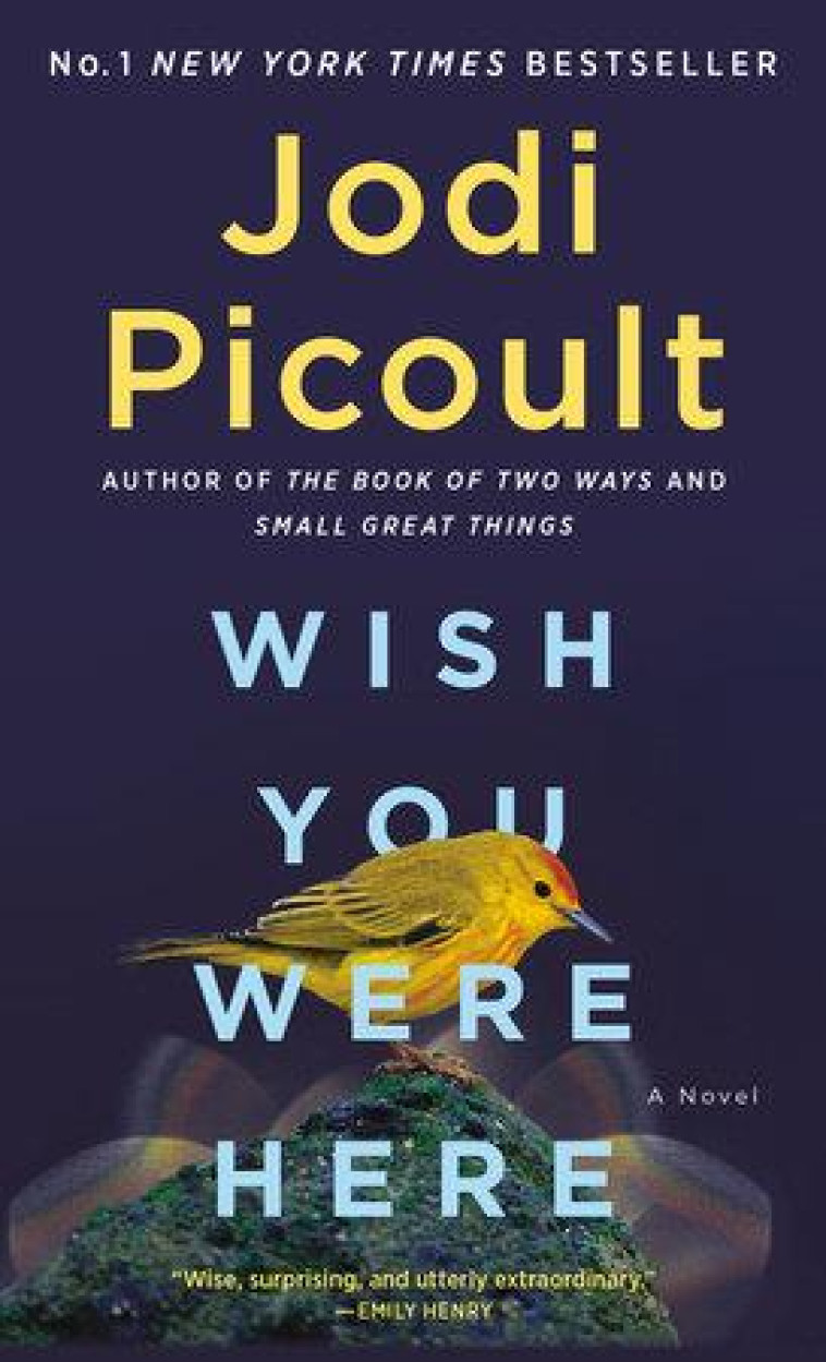 WISH YOU WERE HERE - PICOULT, JODI - NC