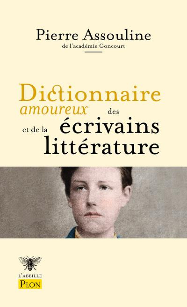 DICTIONNAIRE AMOUREUX DES ECRIVAINS ET DE LA LITERATURE - BOULDOUYRE/ASSOULINE - PLON