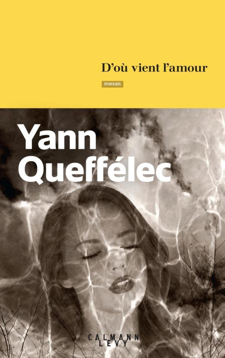 D'OU VIENT L'AMOUR - QUEFFELEC YANN - CALMANN-LEVY