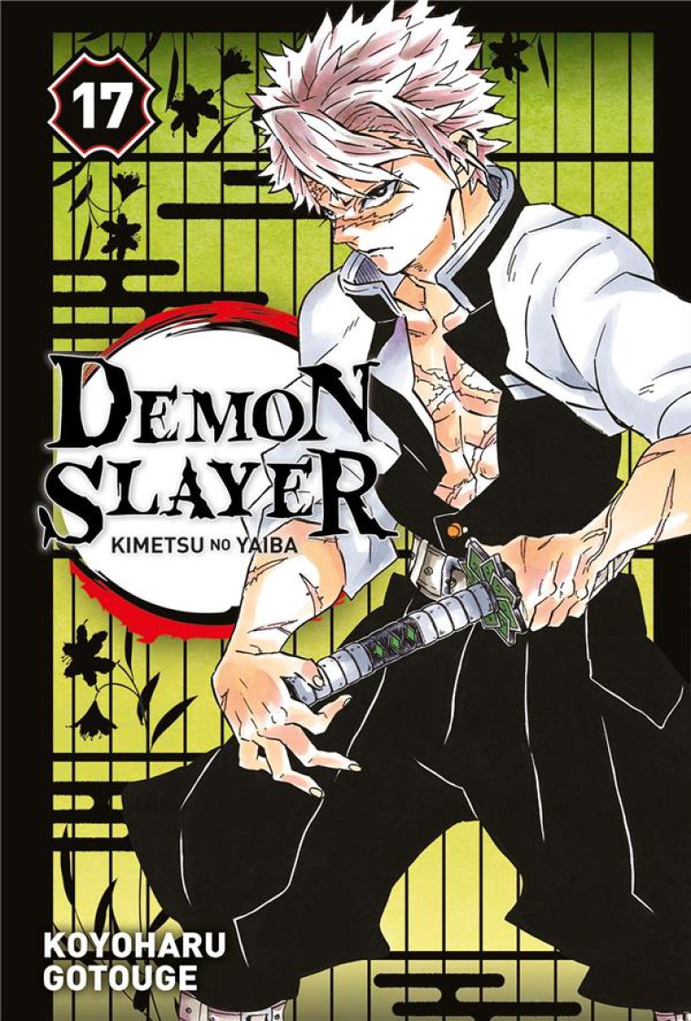 DEMON SLAYER T.17 - GOTOUGE KOYOHARU - PANINI COM MAG