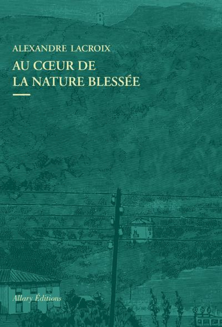 AU COEUR DE LA NATURE BLESSEE : APPRENDRE A VOIR LES PAYSAGES DU XXIE SIECLE - LACROIX ALEXANDRE - ALLARY