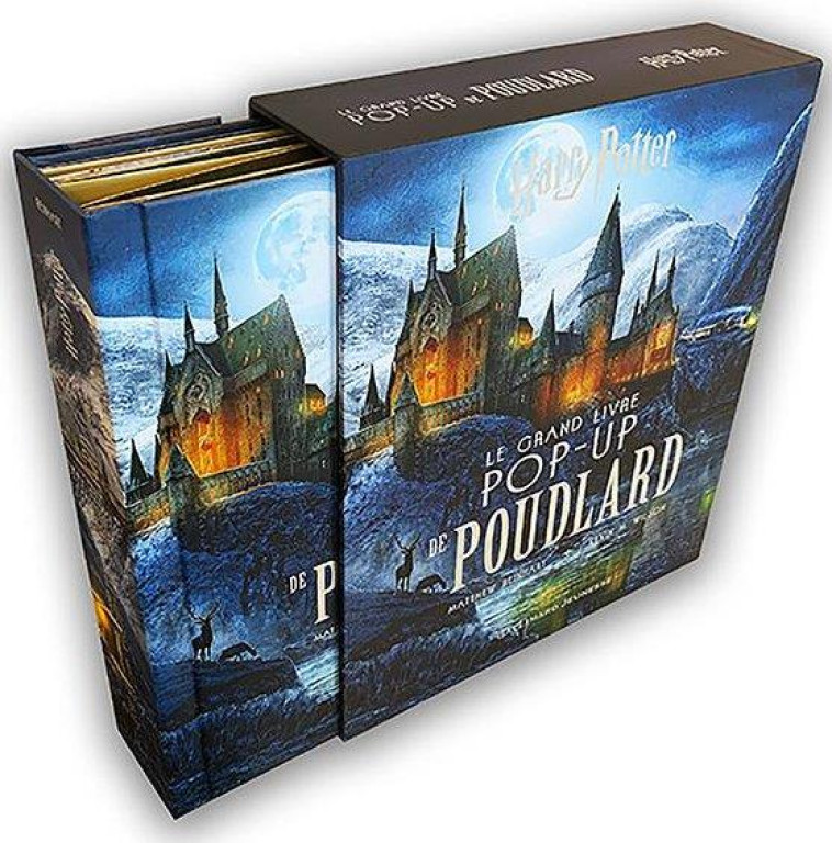 HARRY POTTER : LE GRAND LIVRE POP-UP DE POUDLARD - REINHART/WILSON - GALLIMARD