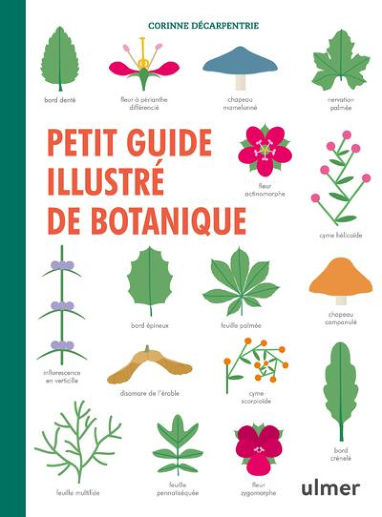 PETIT GUIDE ILLUSTRE DE BOTANIQUE - DECARPENTRIE CORINNE - ULMER