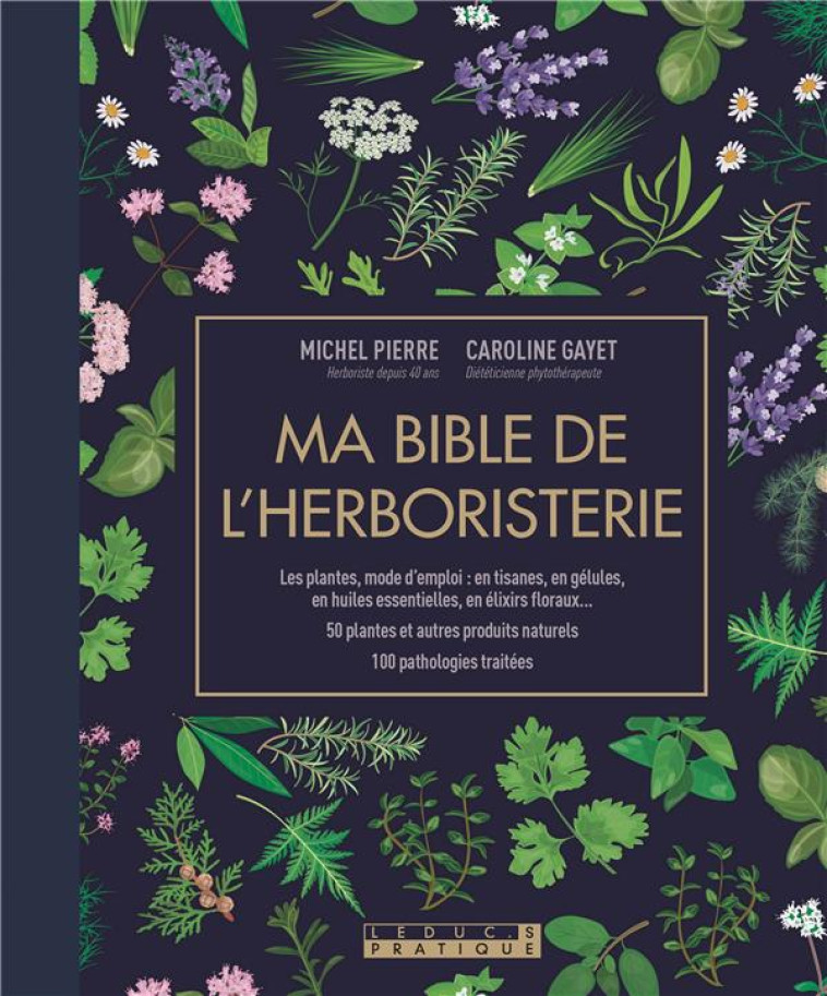 MA BIBLE DE L-HERBORISTERIE - LES PLANTES MODE D-EMPLOI : EN TISANES, EN GELULES, EN HUILES ESSENTIE - GAYET CAROLINE - QUOTIDIEN MALIN