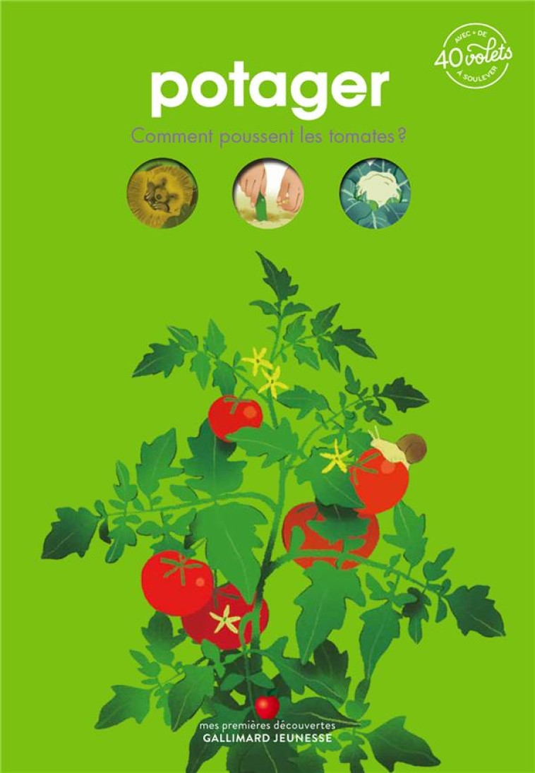 POTAGER - COMMENT POUSSENT LES TOMATES ? - LAMOUREUX/MARNAT - GALLIMARD