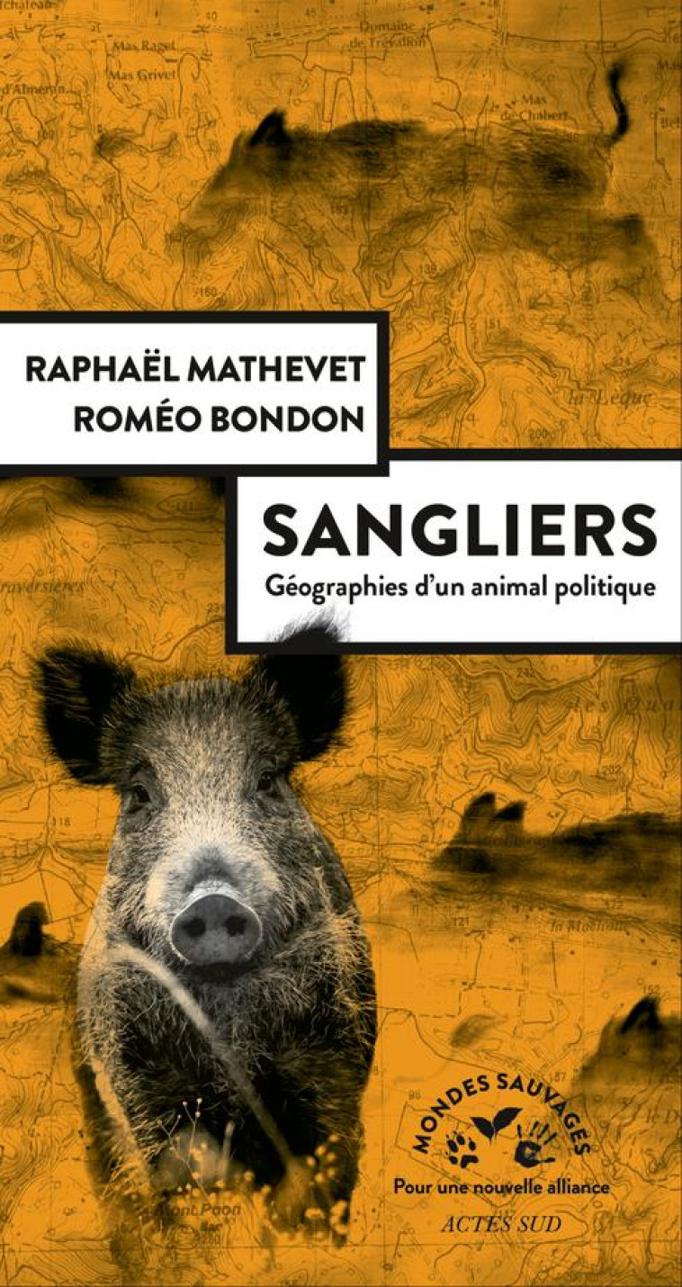 SANGLIERS, GEOGRAPHIES D-UN ANIMAL POLITIQUE - MATHEVET/BONDON - ACTES SUD