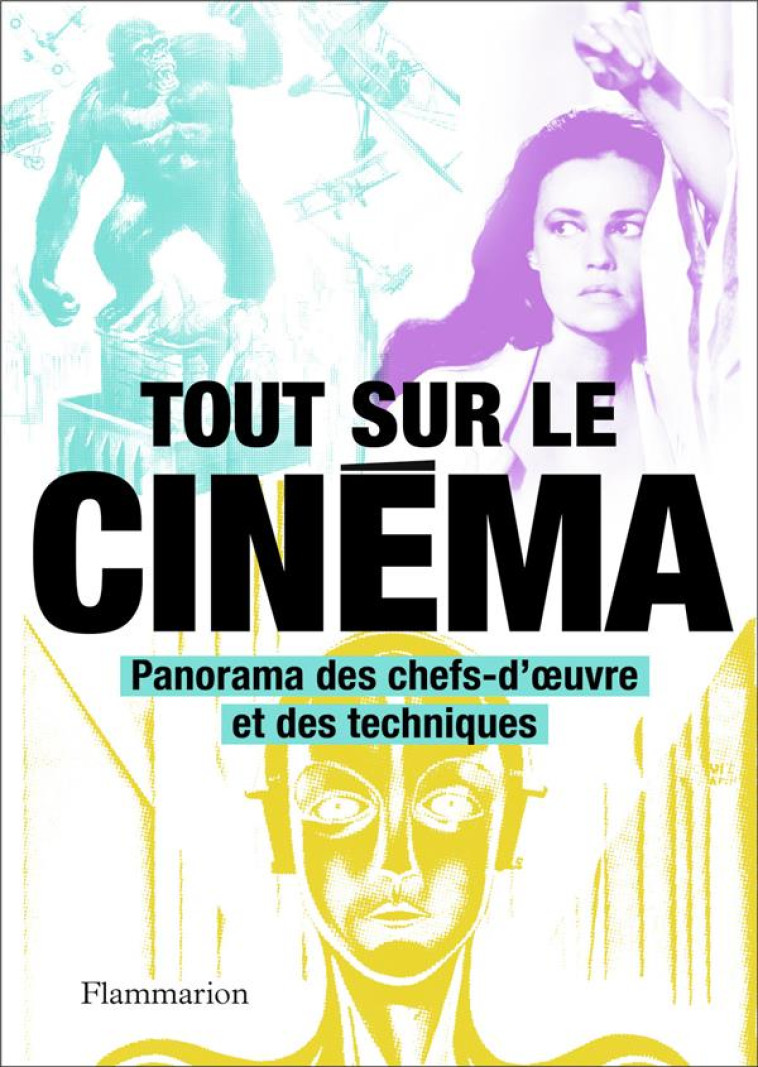 TOUT SUR LE CINEMA - PANORAMA DES CHEFS-D-OEUVRE ET DES TECHNIQUES - ILLUSTRATIONS, COULEUR - COLLECTIF - FLAMMARION