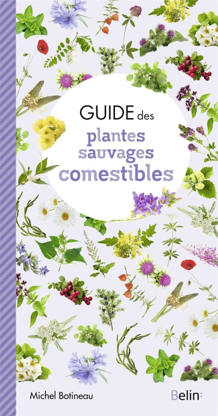 GUIDE DES PLANTES SAUVAGES COMESTIBLES - BOTINEAU, MICHEL - DORLING KINDERS