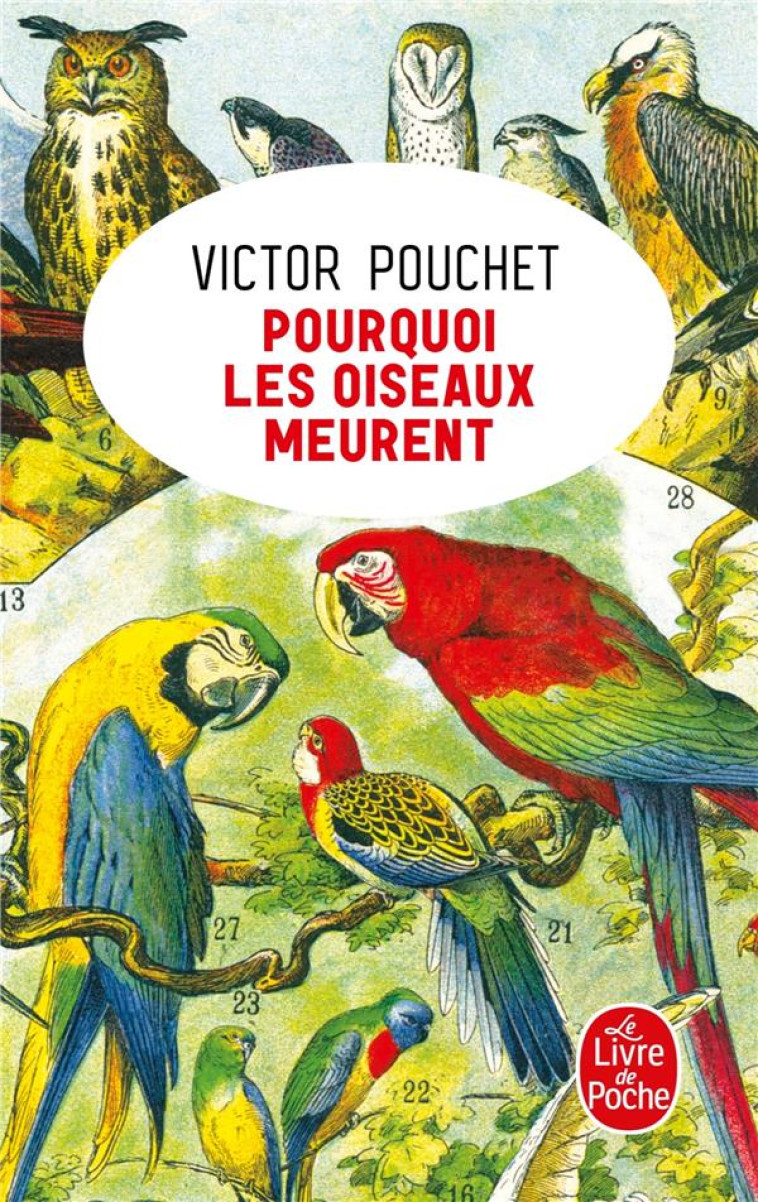 POURQUOI LES OISEAUX MEURENT - POUCHET VICTOR - NC