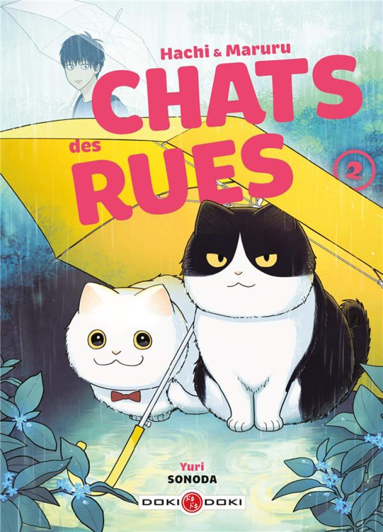 HACHI & MARURU - CHATS DES RUES - T02 - SONODA YURI - BAMBOO