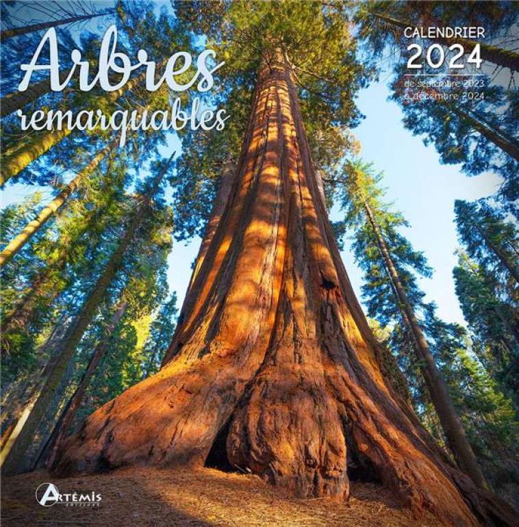 CALENDRIER ARBRES REMARQUABLES 2024 - COLLECTIF - NC