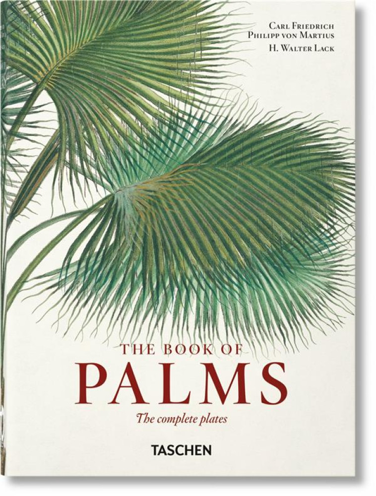 MARTIUS. THE BOOK OF PALMS. 40TH ED. - EDITION MULTILINGUE - LACK H. WALTER - NC