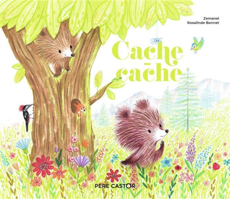 CACHE-CACHE - ZEMANEL/BONNET - FLAMMARION