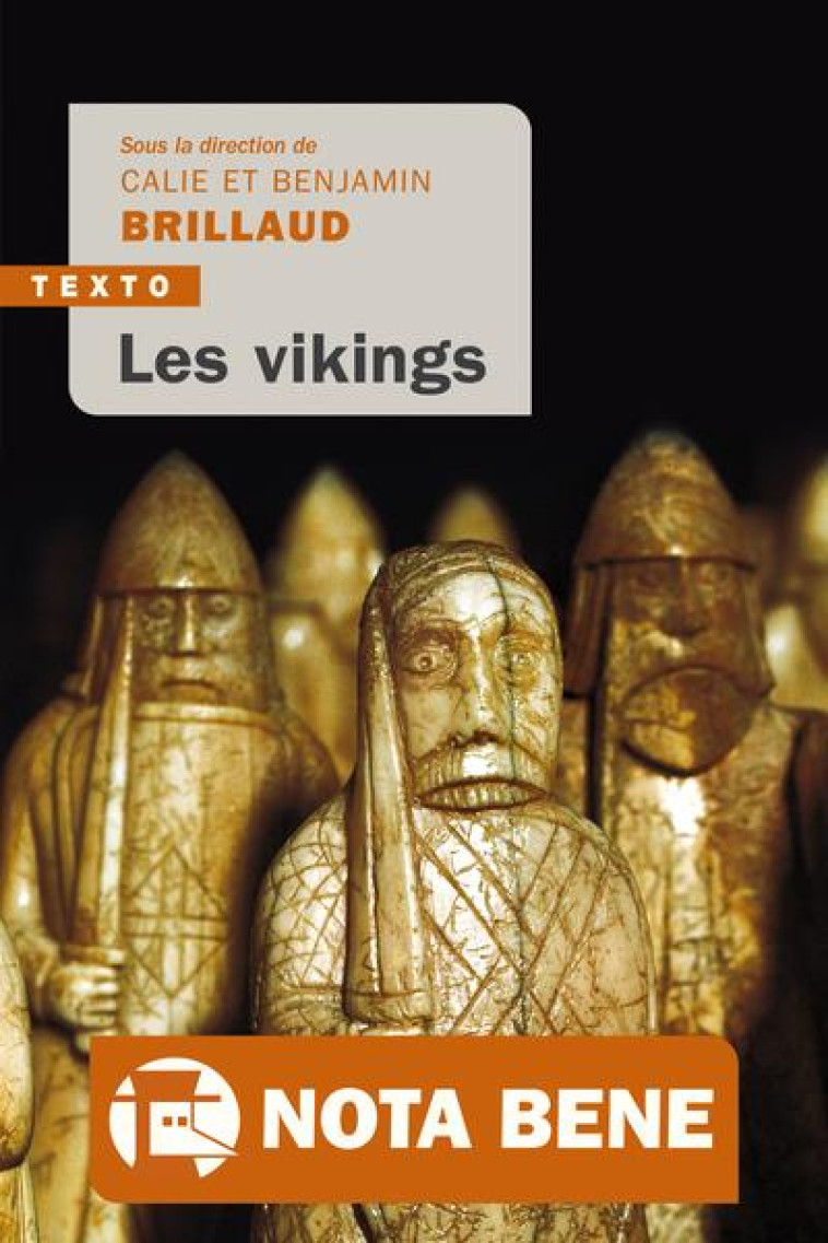 LES VIKINGS - BRILLAUD - TALLANDIER