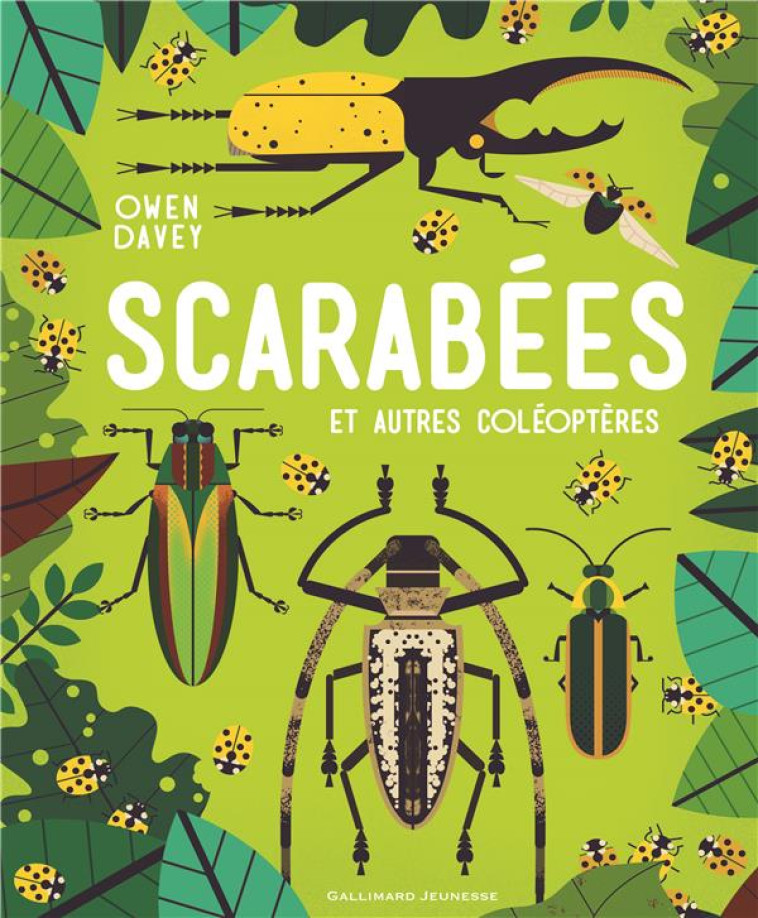 SCARABEES ET AUTRES COLEOPTERES - DAVEY OWEN - NC