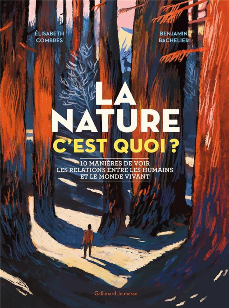 LA NATURE C-EST QUOI ? - 10 MANIERES DE VOIR LES RELATIONS ENTRE LES HUMAINS ET LE MONDE VIVANT - COMBRES/BACHELIER - GALLIMARD