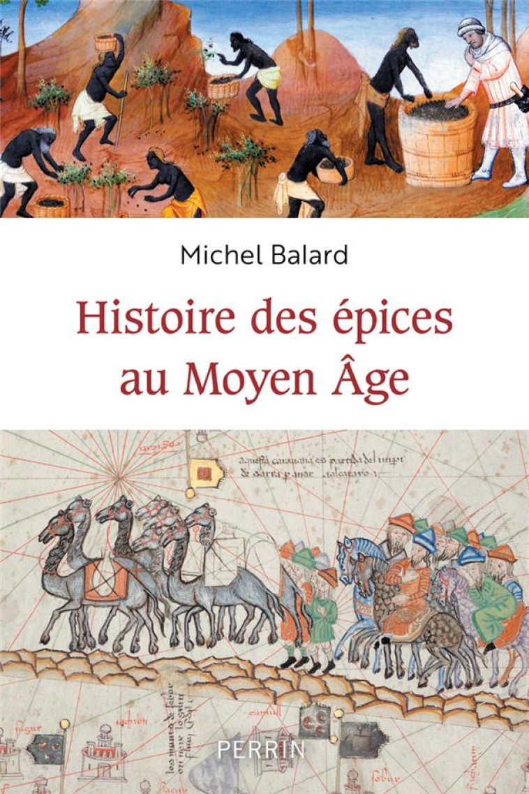 HISTOIRE DES EPICES AU MOYEN-AGE - BALARD MICHEL - PERRIN