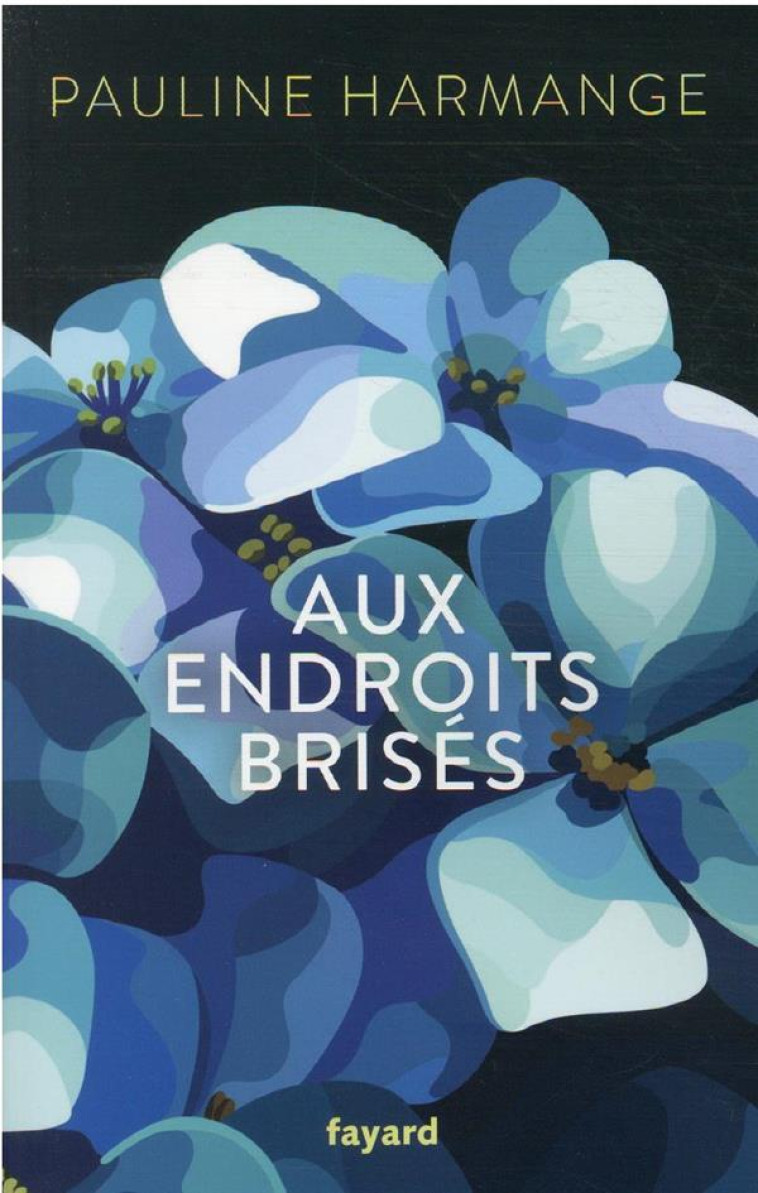 AUX ENDROITS BRISES - HARMANGE, PAULINE  - FAYARD