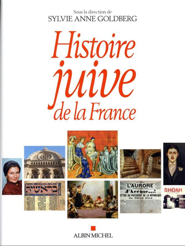 HISTOIRE JUIVE DE LA FRANCE - GOLDBERG SYLVIE-ANNE - ALBIN MICHEL