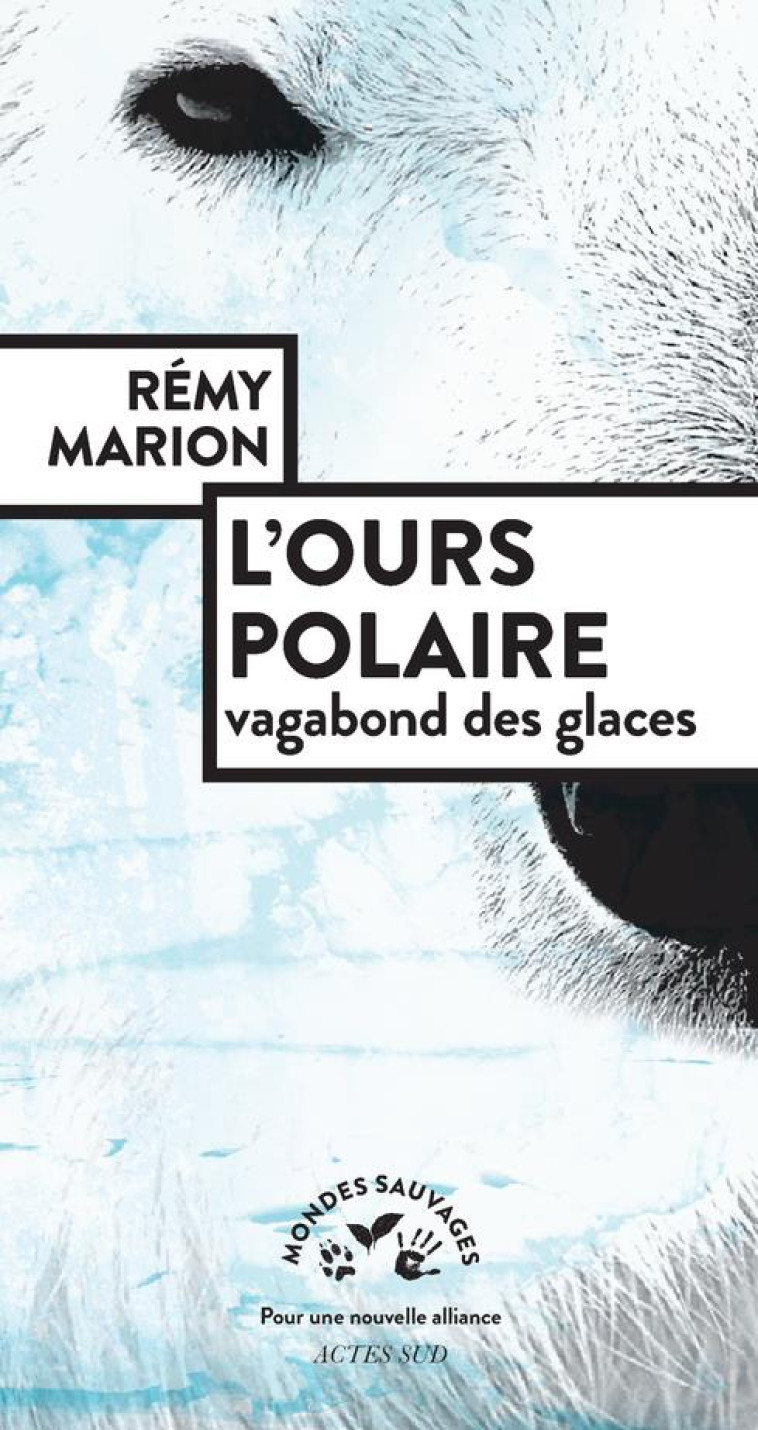 L-OURS POLAIRE, VAGABOND DES GLACES - MARION - ACTES SUD