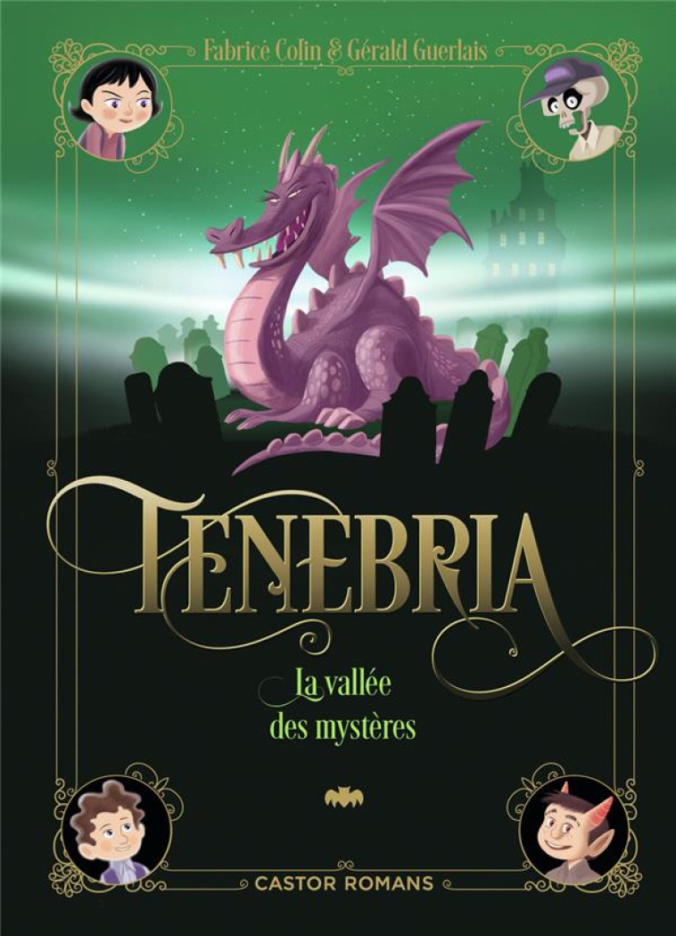 TENEBRIA - VOL03 - LA VALLEE DES MYSTERES-LA VALLEE DES MYSTERES - GUERLAIS/COLIN - FLAMMARION